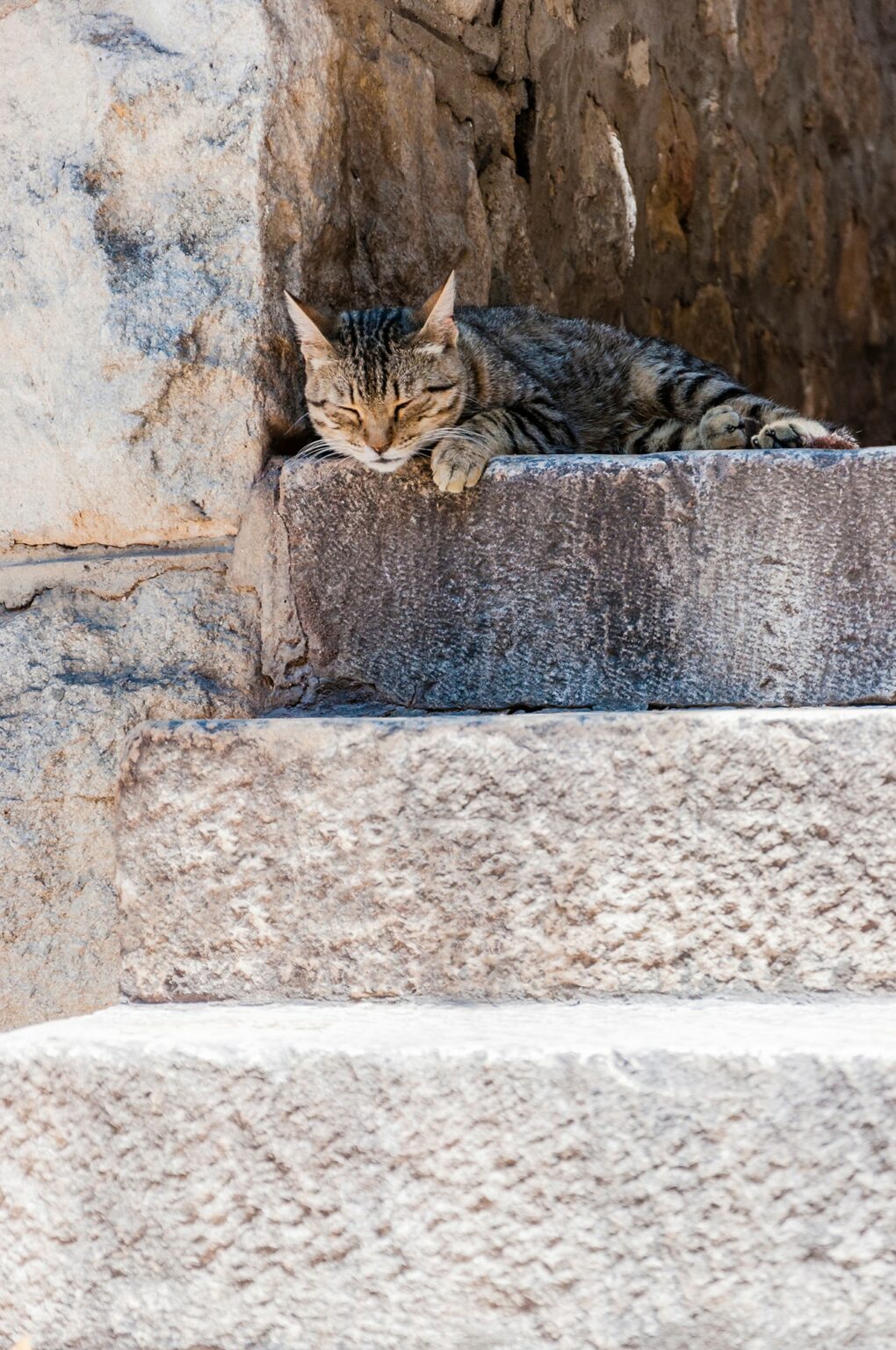 Split - The official site of the Tourist Board Split-Dalmatia County