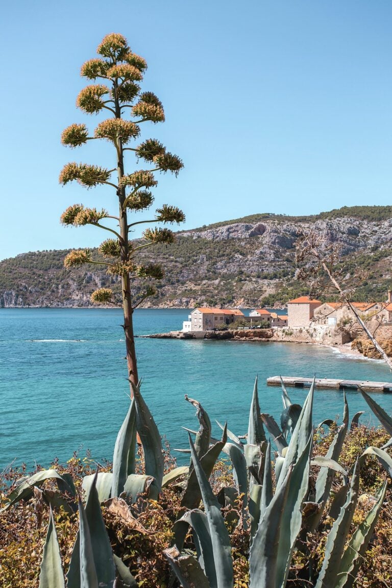 Komiža - The official site of the Tourist Board Split-Dalmatia County